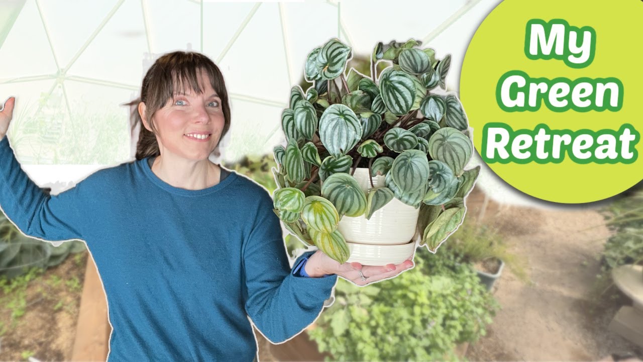 Fun Design Ideas for a DREAM Greenhouse Oasis!