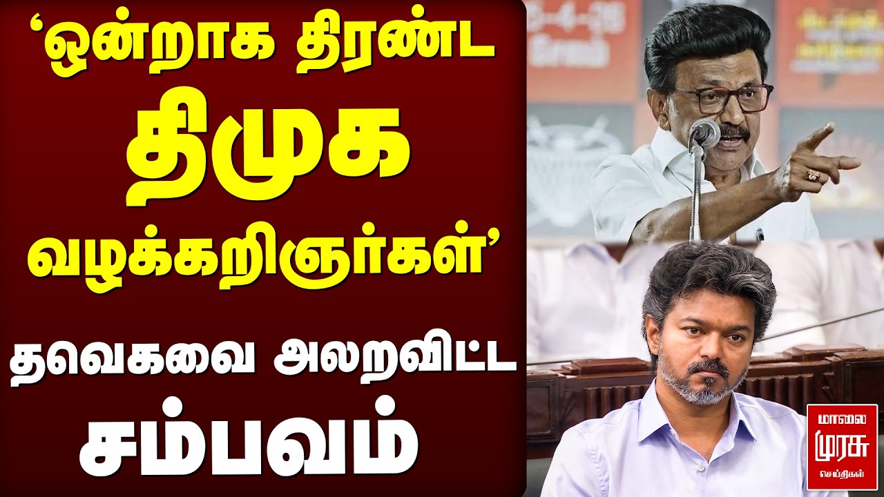 ஒன்றாக திரண்ட திமுக வழக்கறிஞர்கள் | TVK | DMK | MK Stalin | CM Vijay