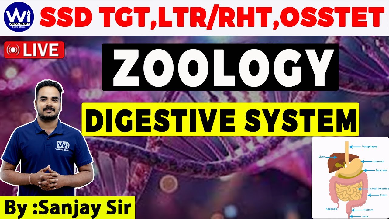 Digestive System | ZOOLOGY | SSD TGT/LTR/RHT/OSSTET #ssd #ltr #rht