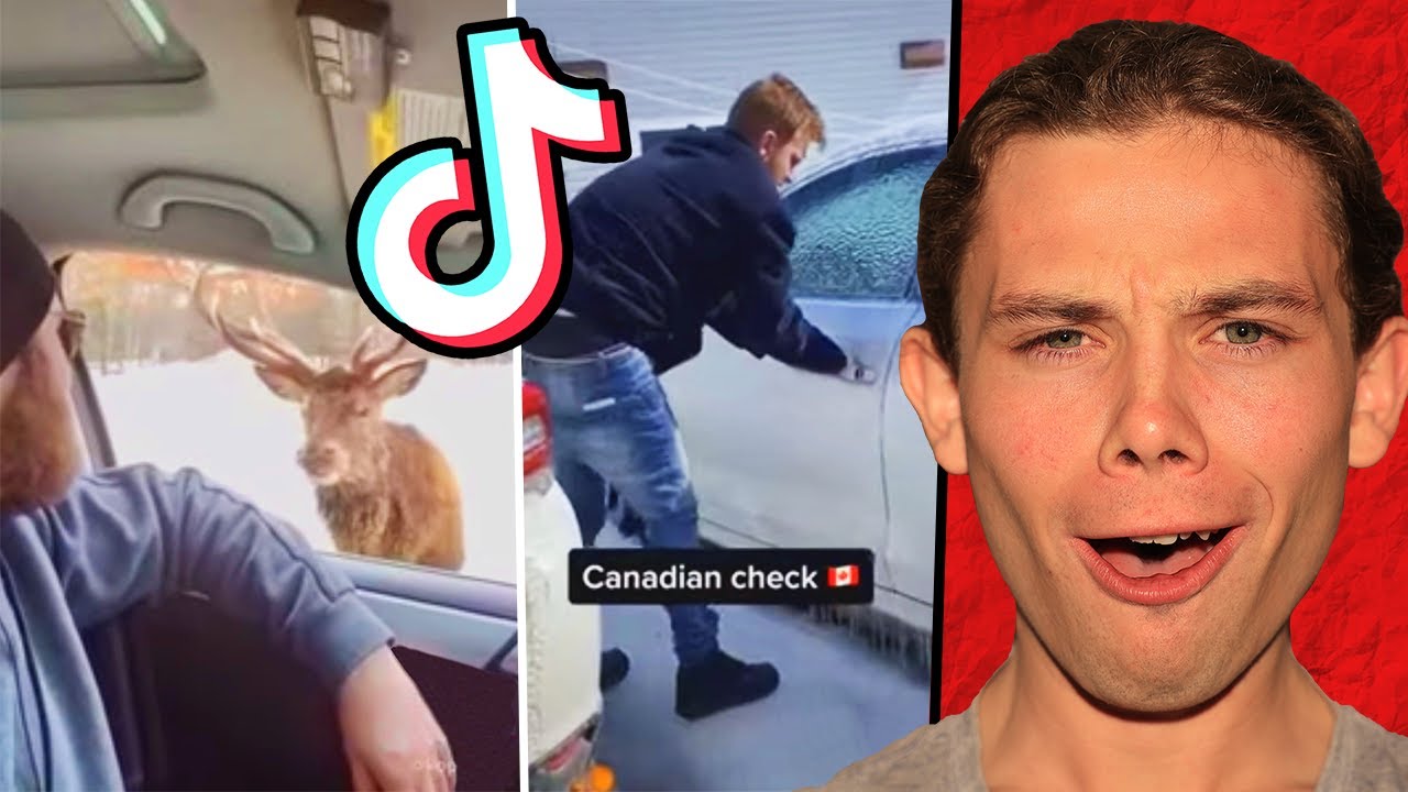 Реакция австралийцев на TikTok, понятная только канадцам