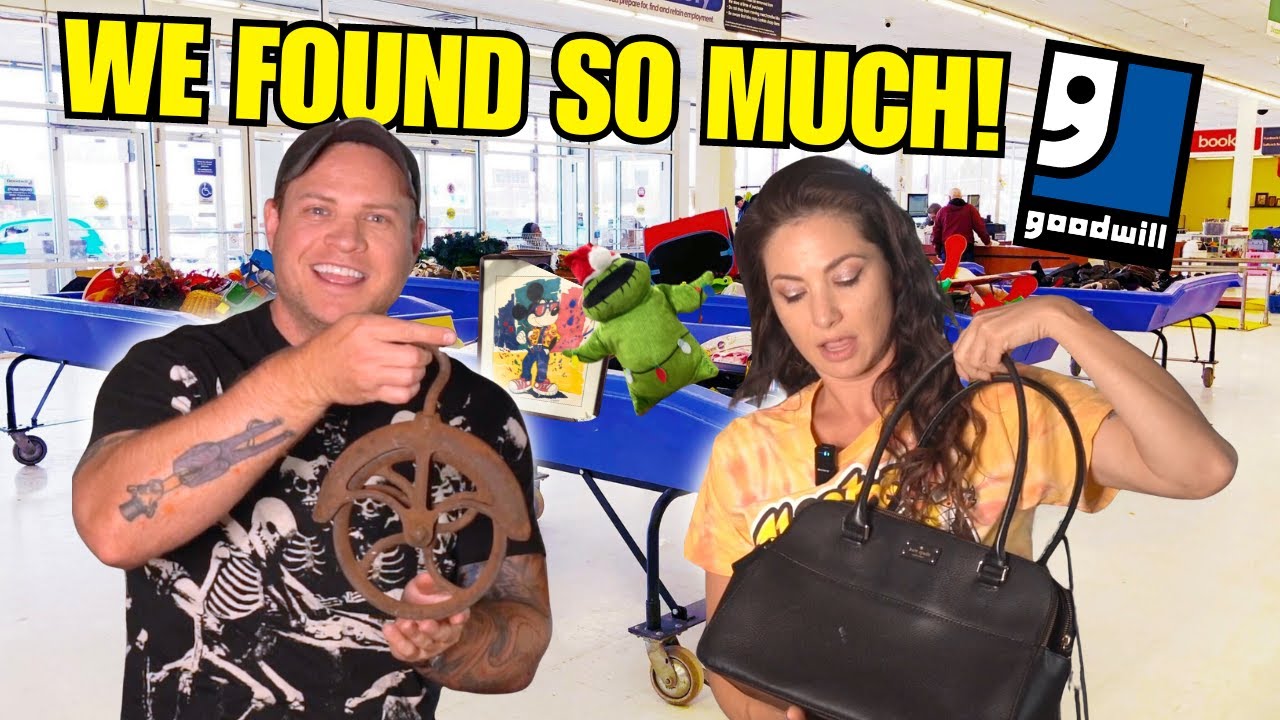 We Paid $29 For Everything at the Goodwill Outlet Store!?