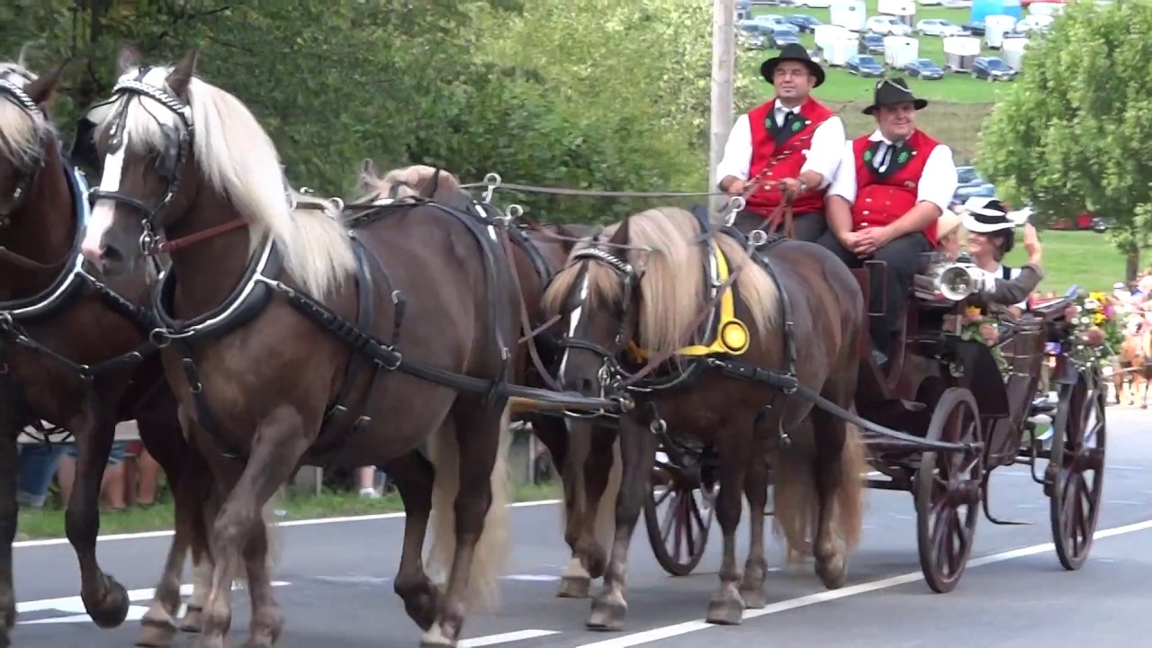 Rossfest 2016 - Sankt Märgen - Festumzug