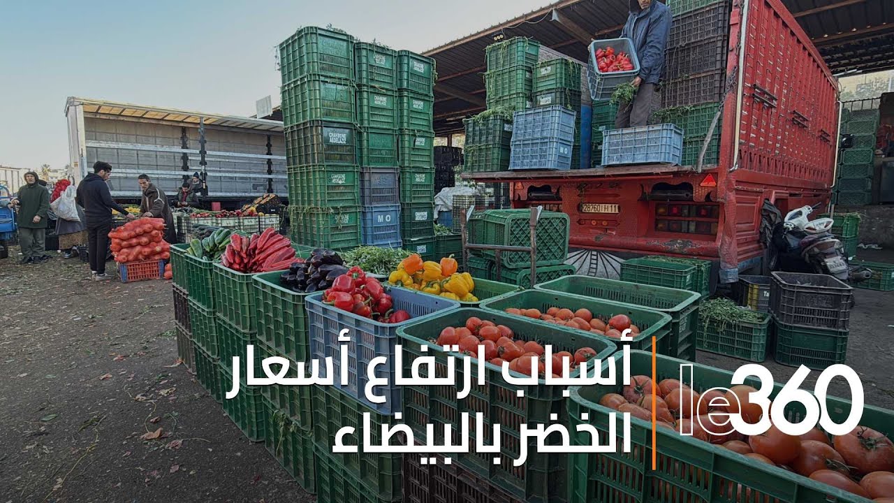 لماذا ارتفعت أسعار الخضر بالدار البيضاء رغم التساقطات المطرية الغزيرة؟