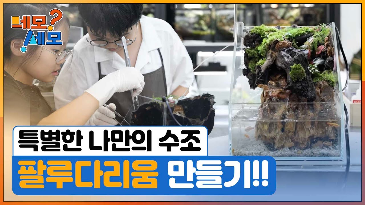 ubc 윱씨 / 네모세모 312회 [부산 – 가족 취향 저격 이색 체험 열전]