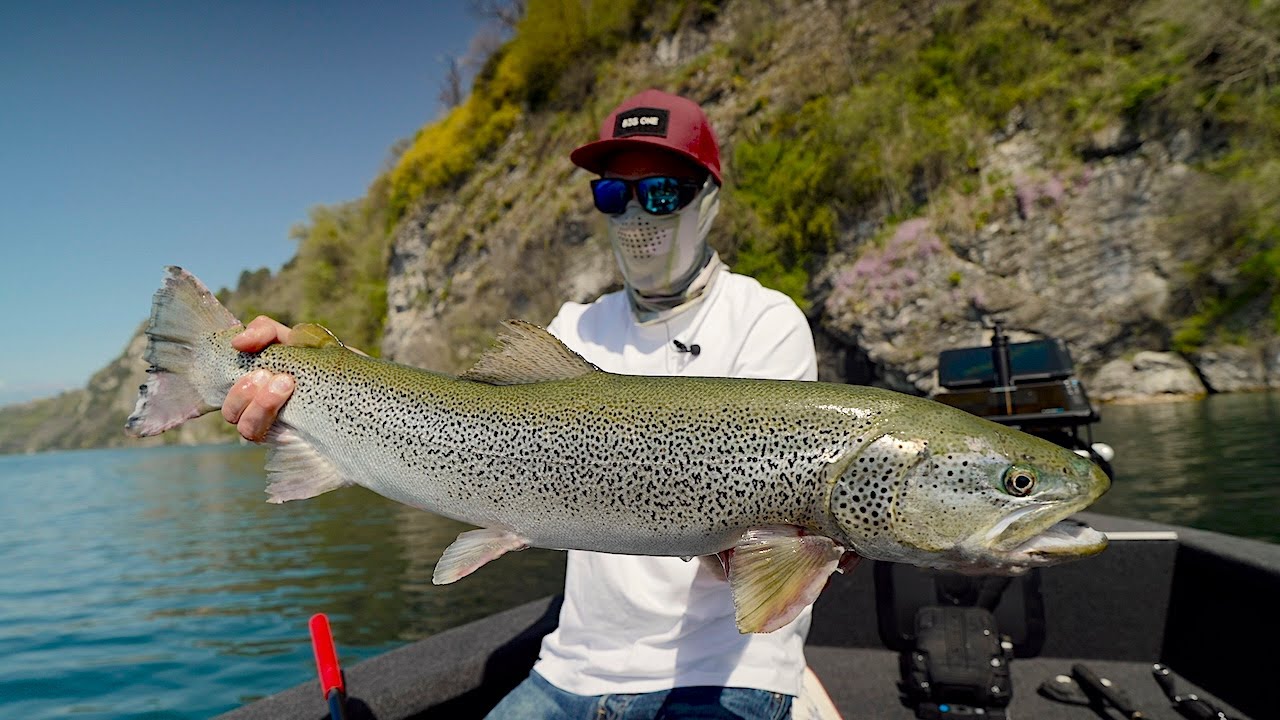 Pesca alla TROTA LACUSTRE del Lago MAGGIORE - Lake Trout Fishing