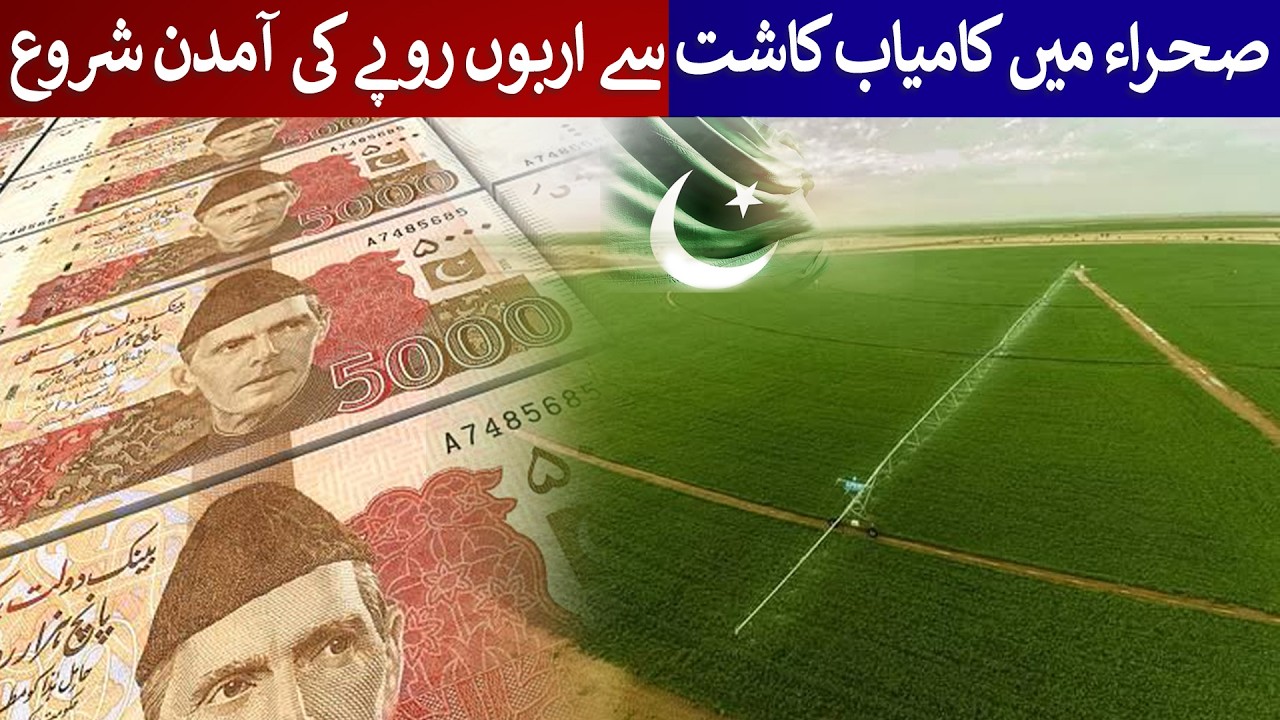 Desert Farming Success – Billions in Revenue Now Being Generated! | Rich Pakistan