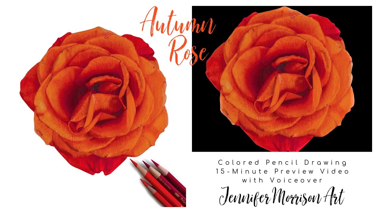 Drawing an Autumn Rose with Colored Pencils