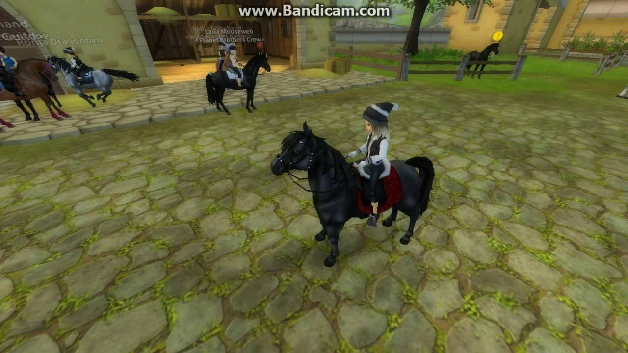 Pferde Vorstellung/Urpferd*-*