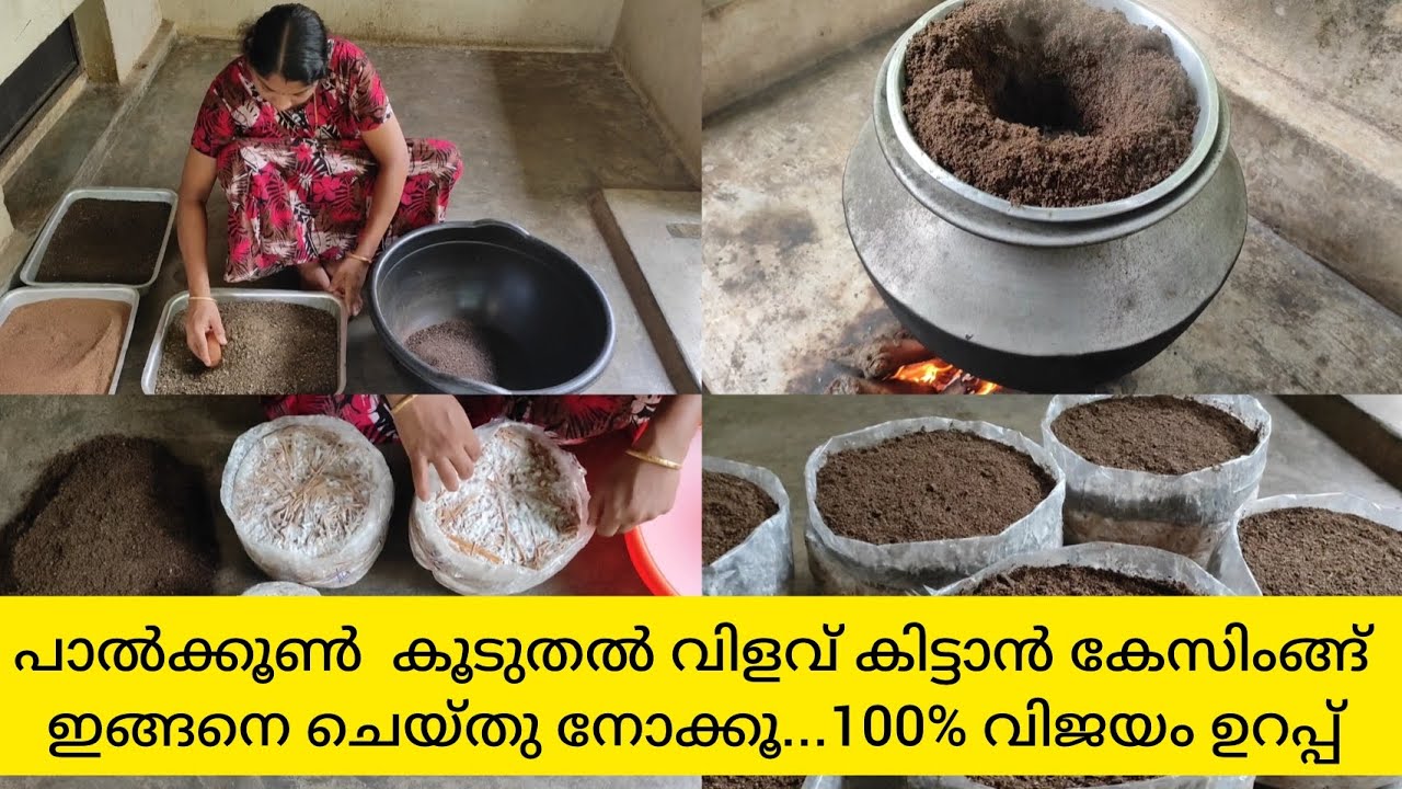 7 ദിവസം വരെ കേടാവാതെ കൂൺ part 2