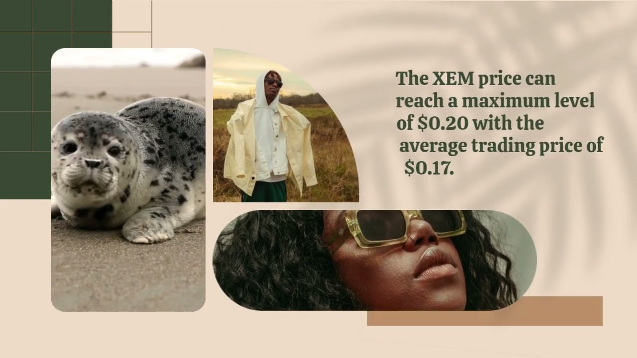 NEM Price Prediction 2023, 2025, 2030   How high can XEM go