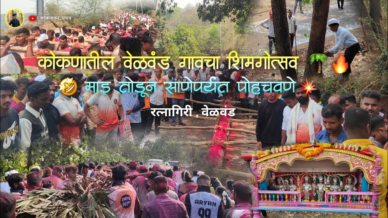 🔴 कोकणातील वेळवंड गावाचा शिमगोत्सव 🥳 | माड तोडून साणेपर्यंत पोहचवणे 💥🔥 #रत्नागिरी वेळवंड #kokan 