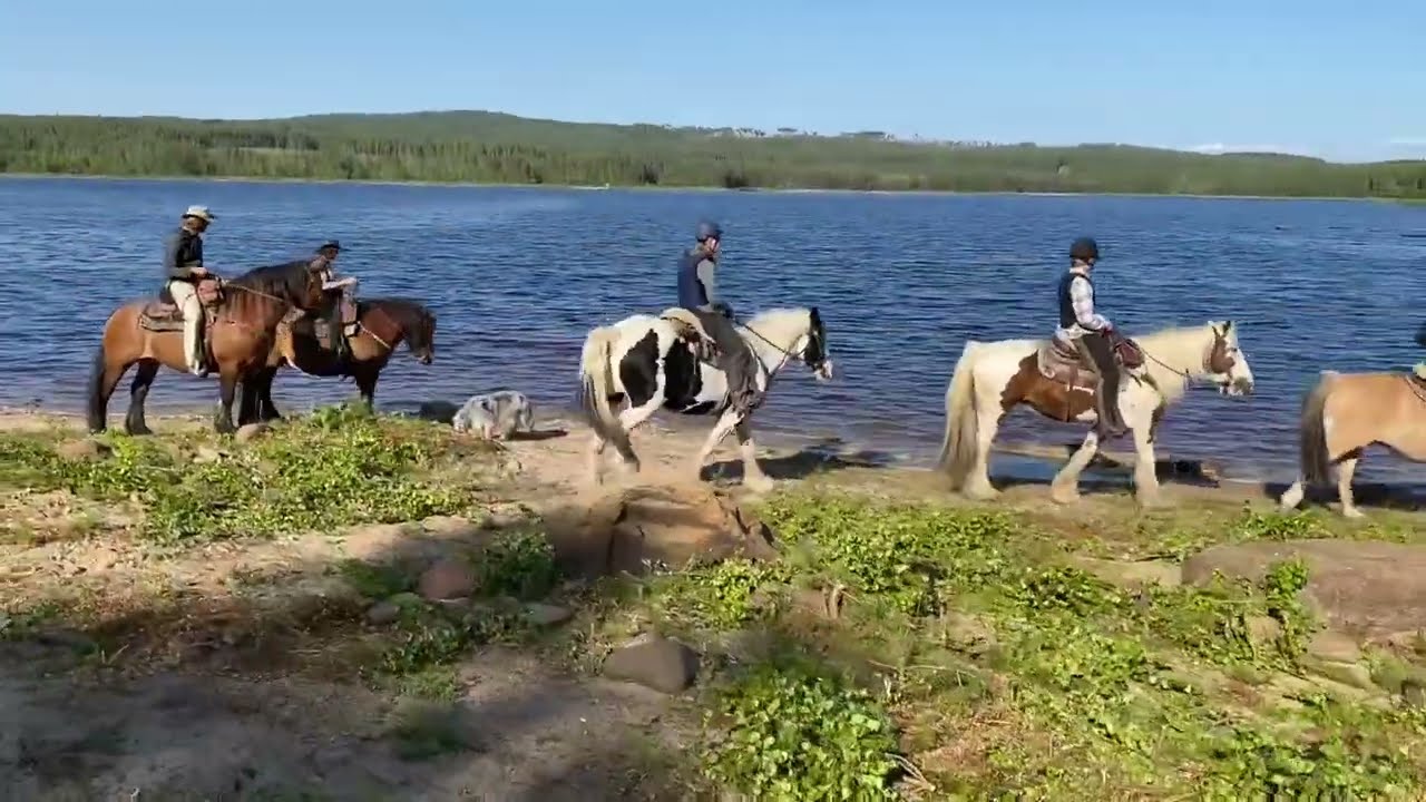 Horseback Riding in Ekshärad, Sweden Our Little Farm