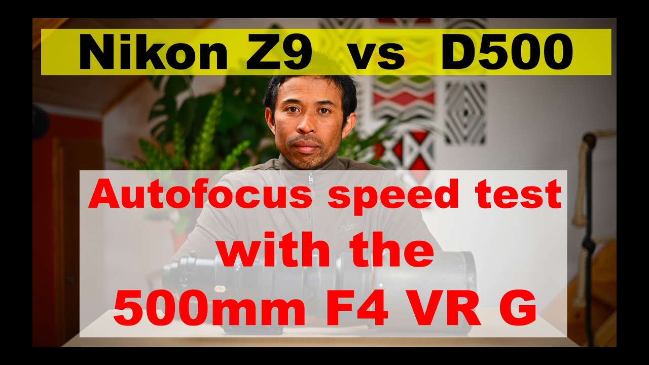 Nikon Z9 Ultimate focus speed test: Part 3/4 results from 500mm VR F4