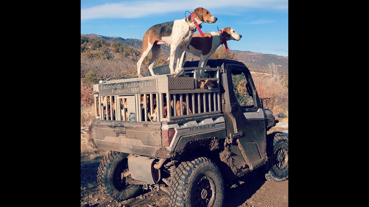Dog Life, Shorty Gorham (Episode 1)