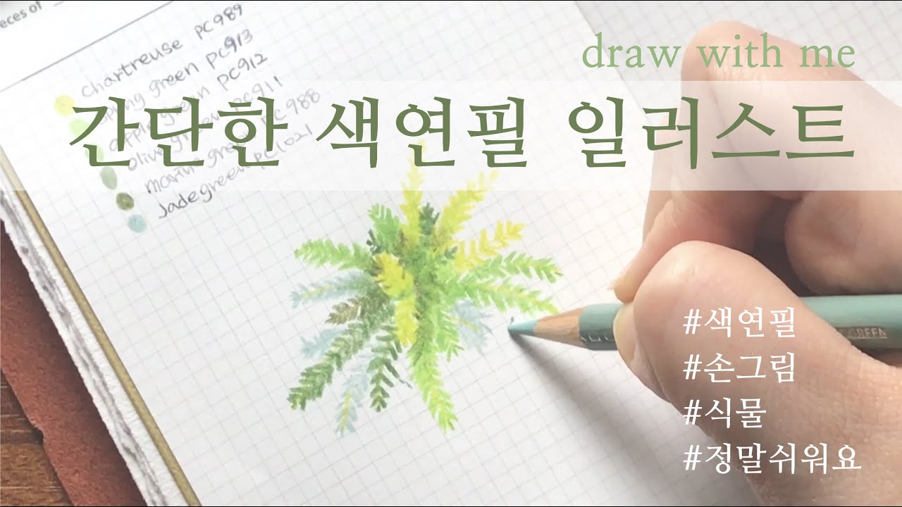 [손그림/수채화]간단한 색연필 일러스트|식물/draw with me