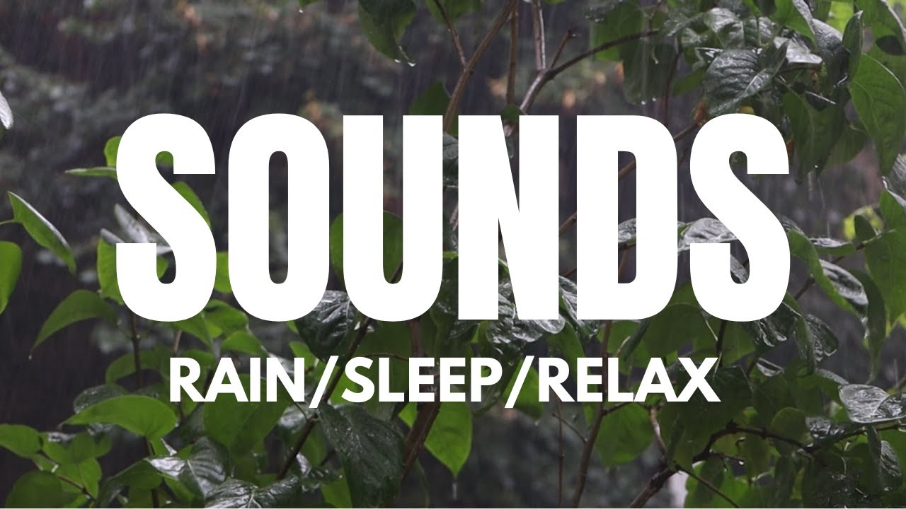 Rain sounds for sleep, relaxation, focus. Perfect for sleeping, meditation and no distractions.