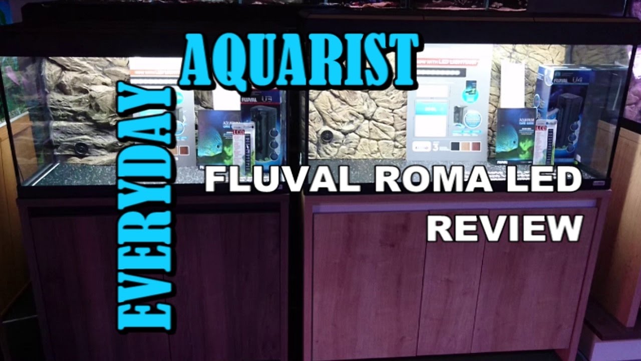 Fluval Roma LED Aquarium Review (90,125,200,240)
