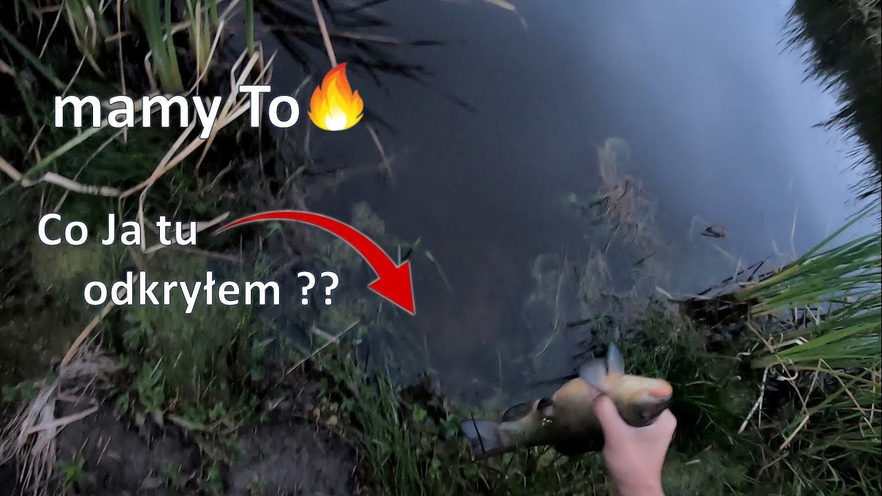 Akcja lin do małego stawu... Ciekawe odkrycie w Nowym Stawie !!
