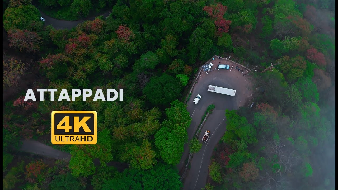 Attappadi Forest | Cinematic Travel | Palakkad | 4K