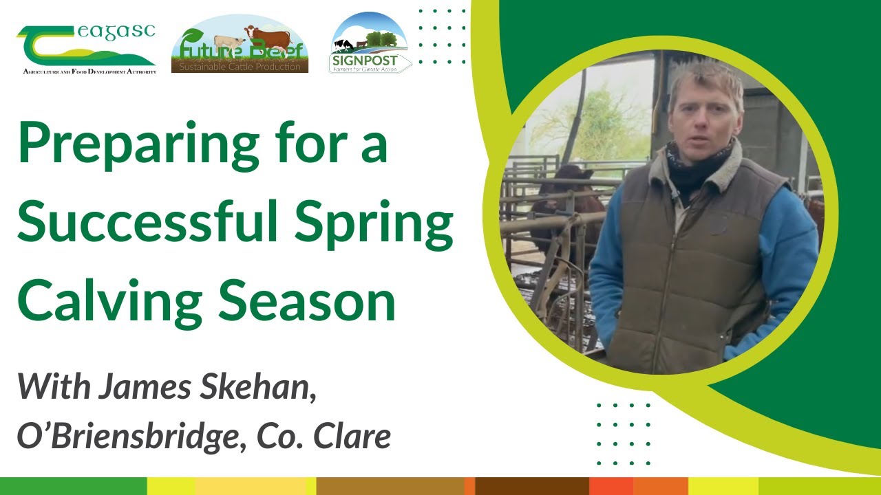 Preparing for a Successful Spring Calving Season - James Skehan
