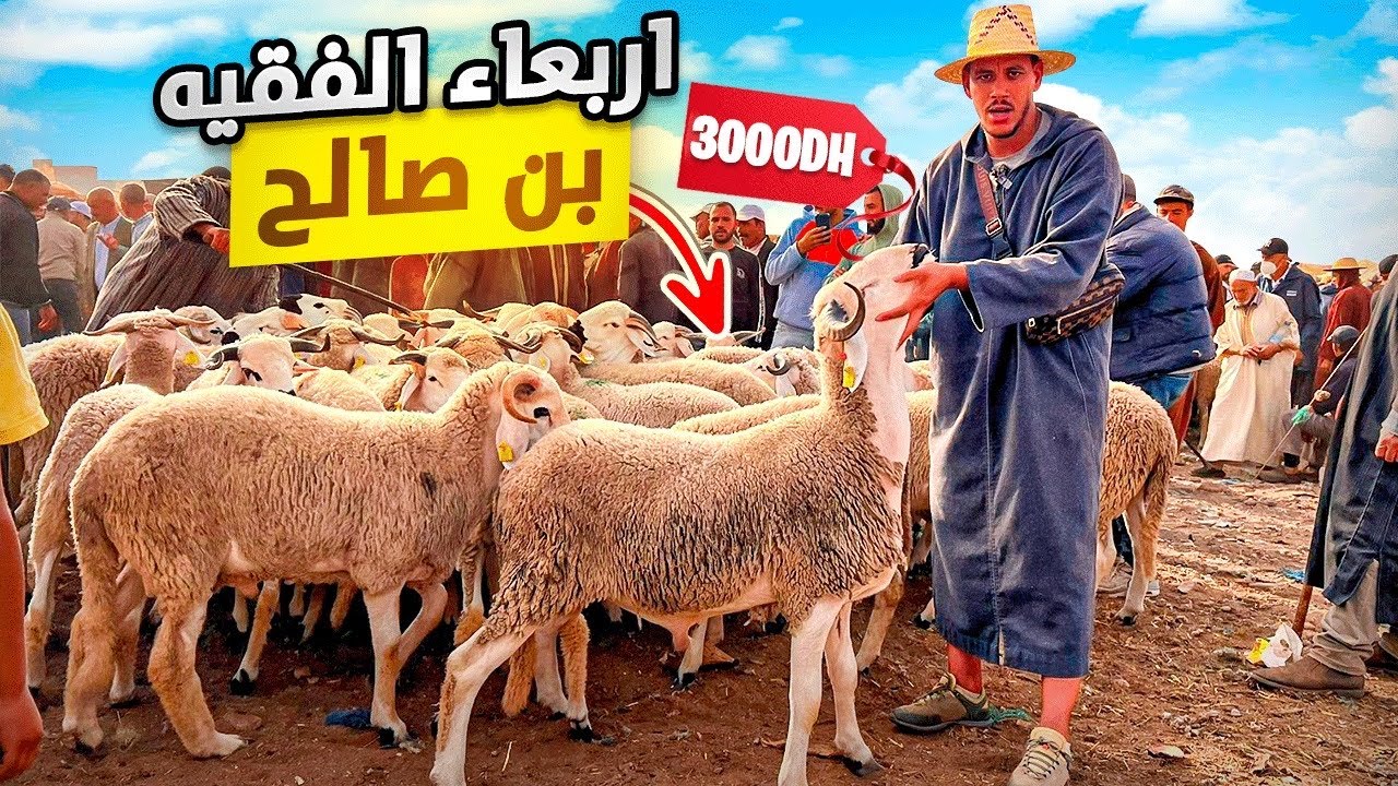 اليوم من سوق الفقية بن صالح اقليم بني ملال 🇲🇦مع أثمنة حولي عيد الأضحى 🐑 05/06/2024 (أرخص سوق)‼️ 🤑