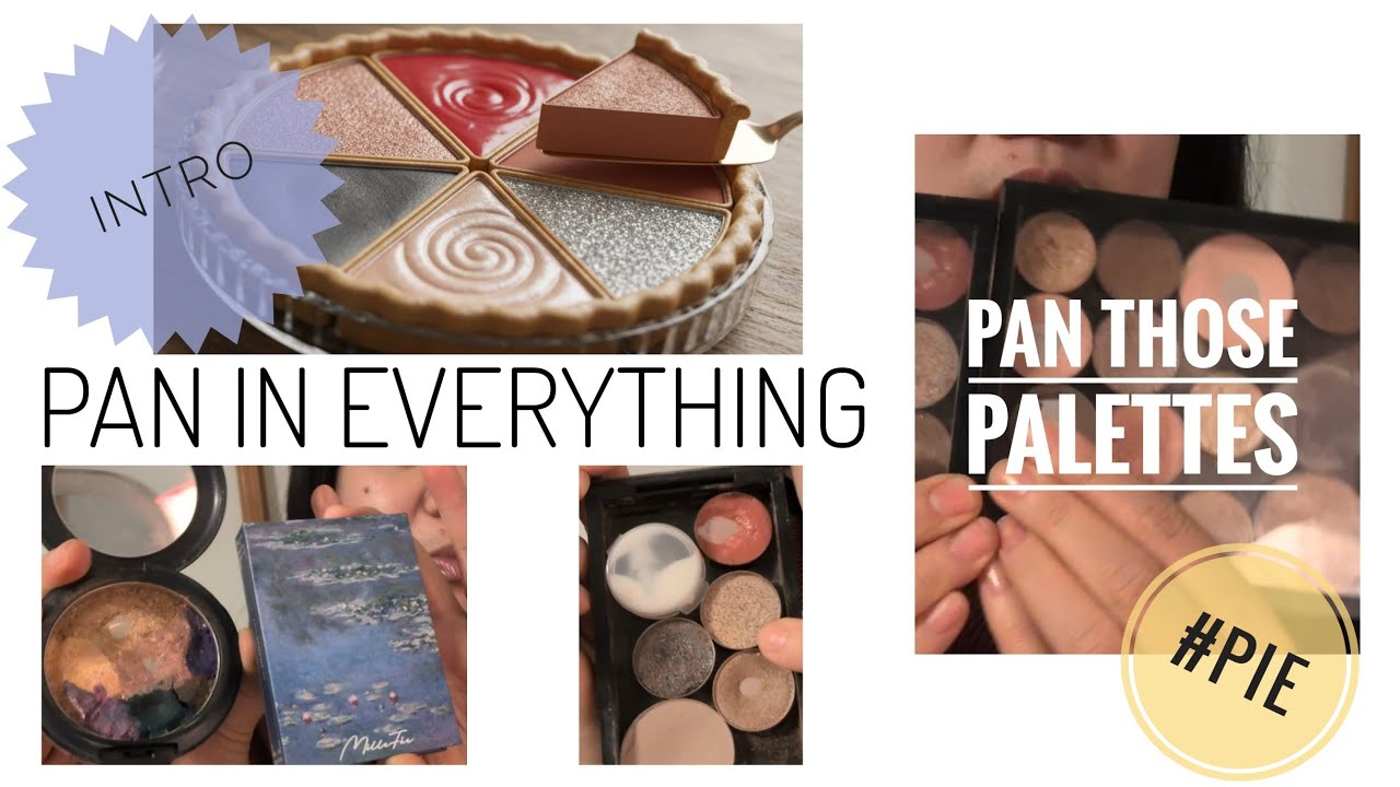 PAN IN EVERYTHING | Intro #panineverything @JessicaLee.3 #panthosepalettes #projectpan 