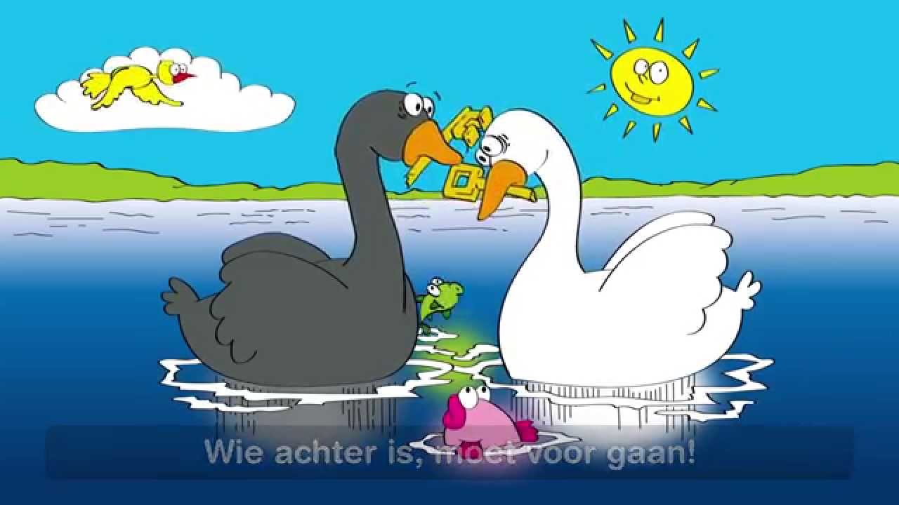Witte zwanen, zwarte zwanen - Kinderliedjes van vroeger