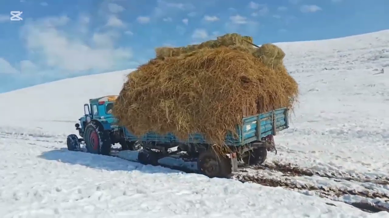T40 РАБОТА СНЕГА