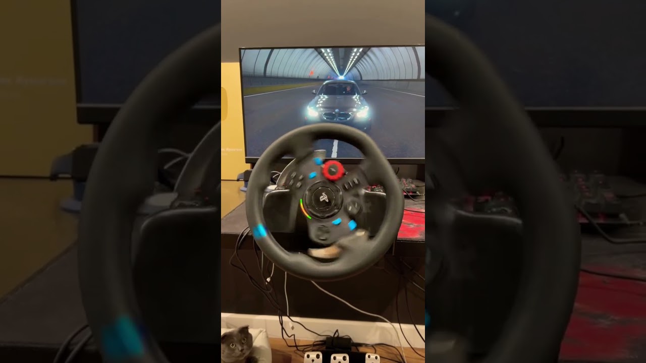 Finally I bought Logitech G29 steering wheel