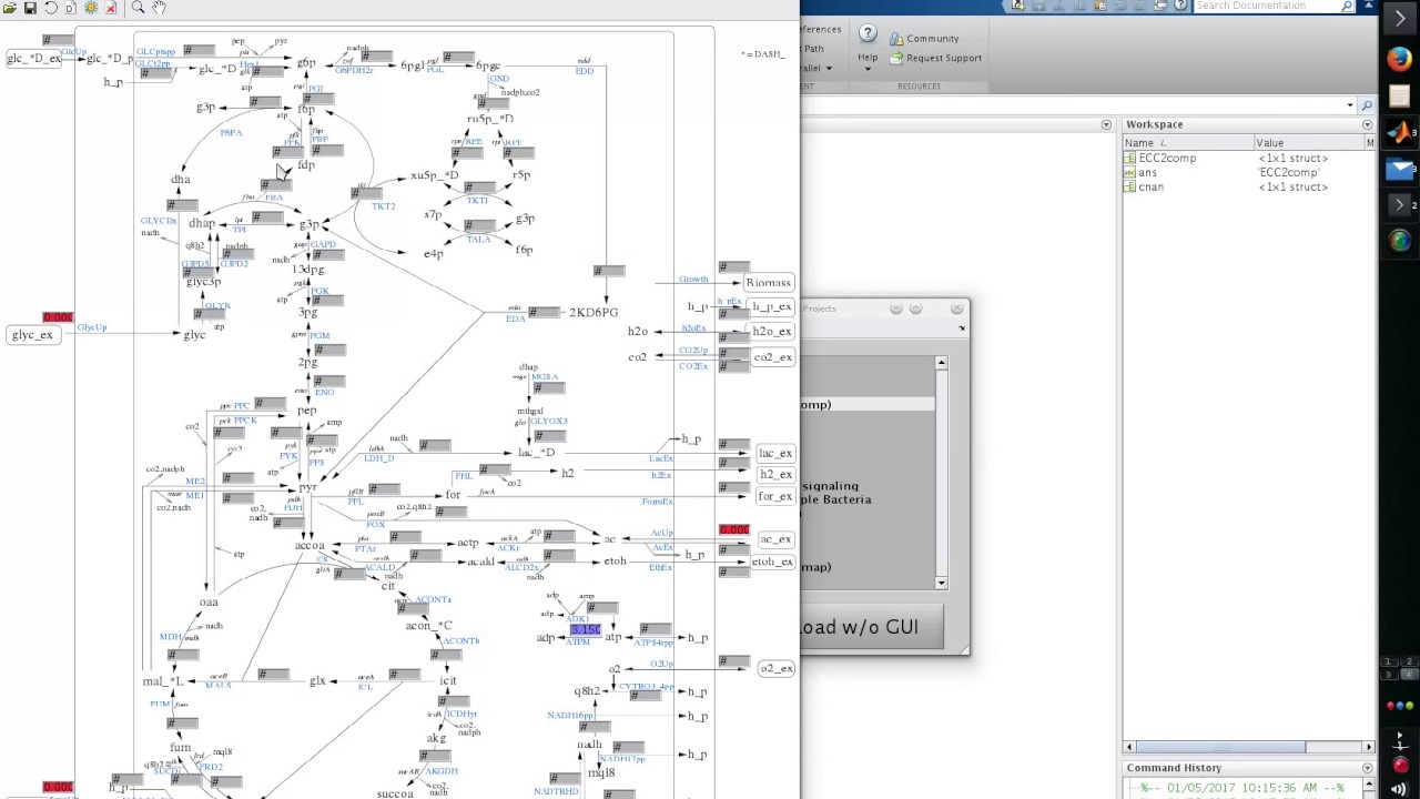 CNA Tutorial 1: start CNA, load a project, flux analysis