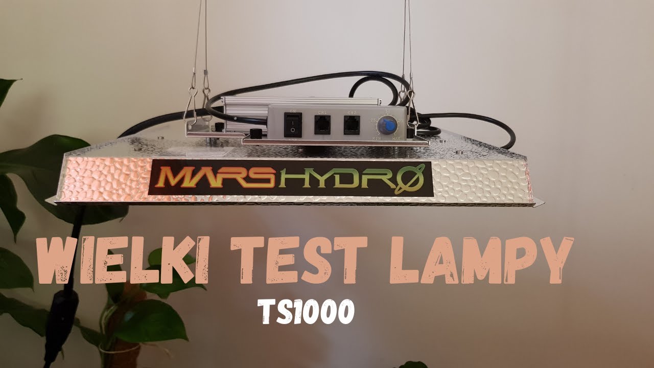 Wielki test lampy TS1000 MarsHydro