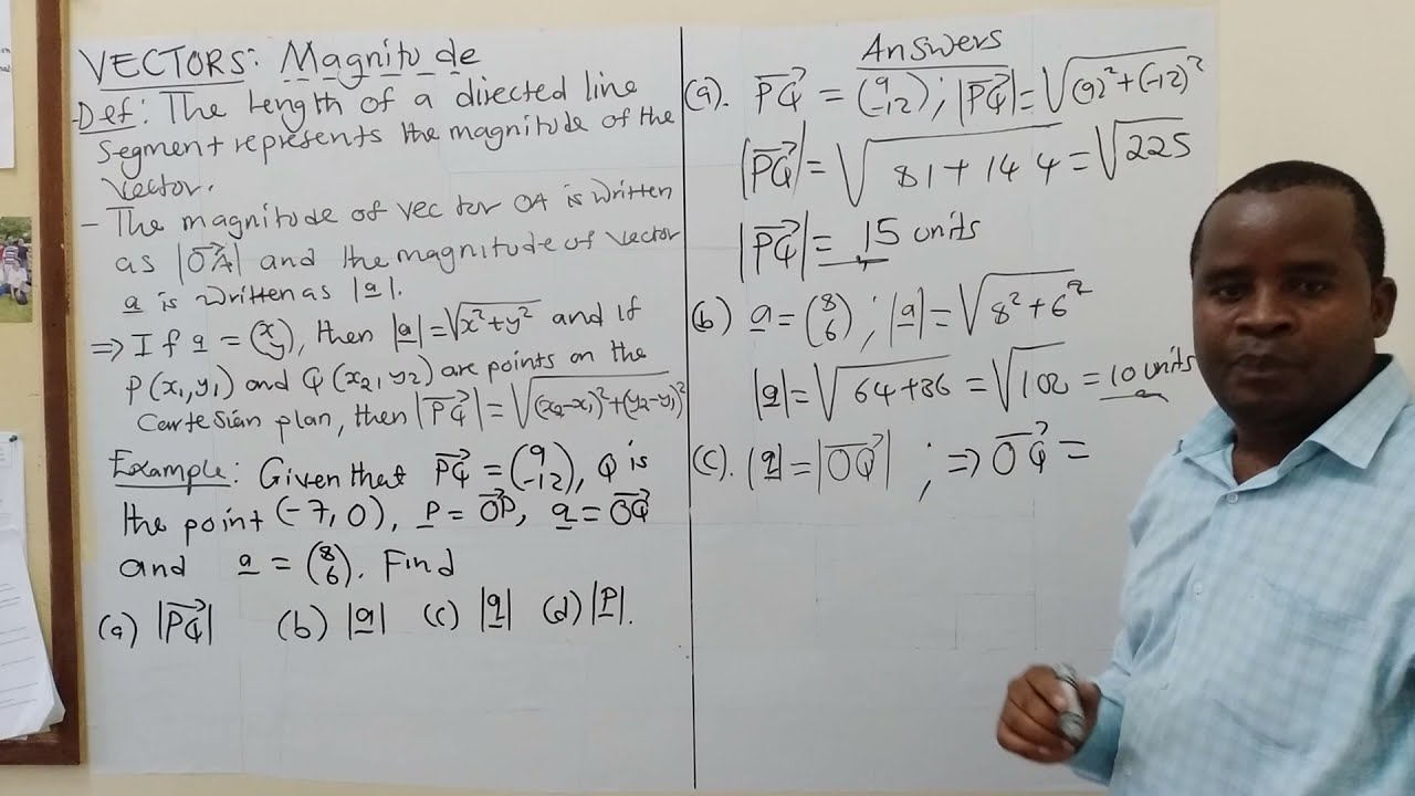 Magnitude in vectors