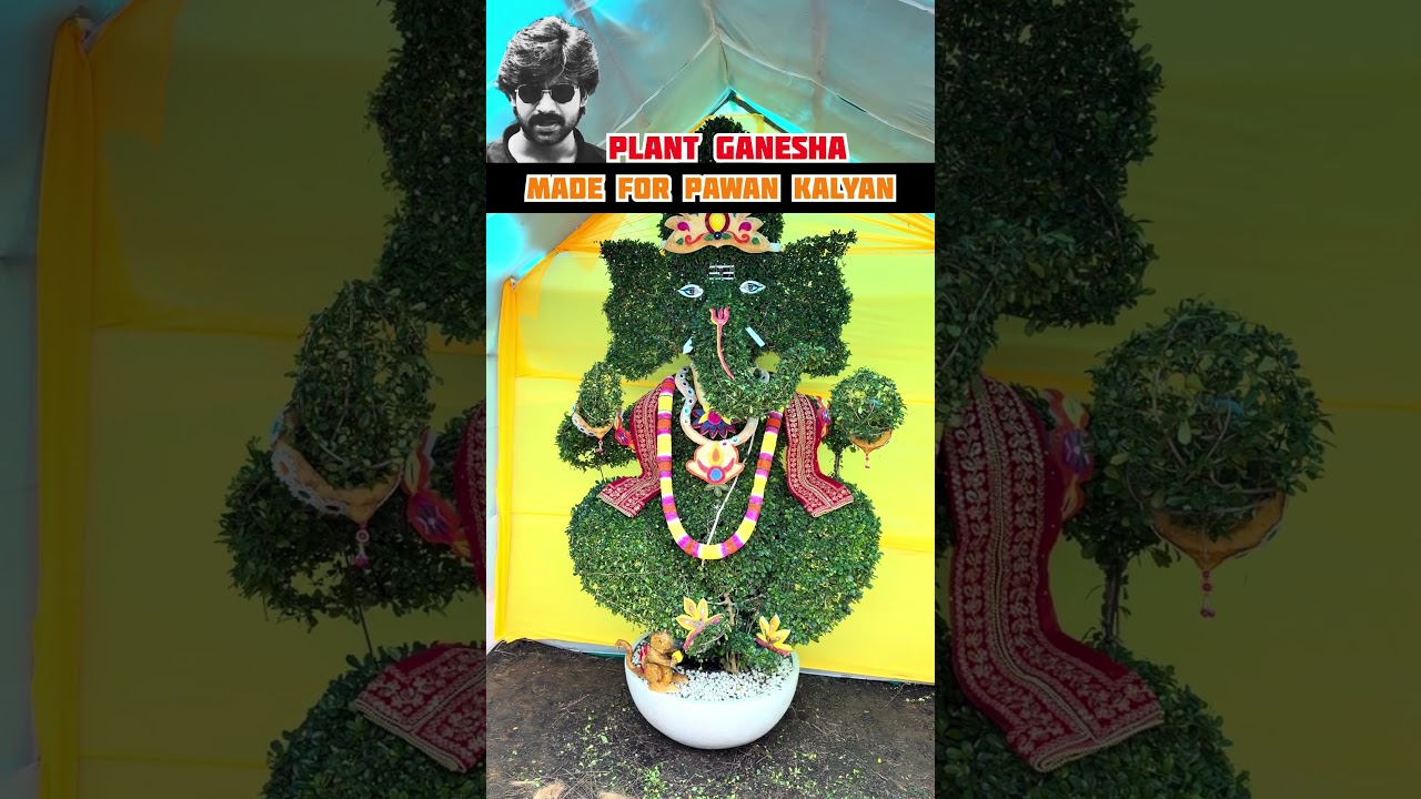 11feet Sungle plant Ganesha for Pawan Kalyan #ganesha #vinayakachavithi #ganesh #idol #festival #yt