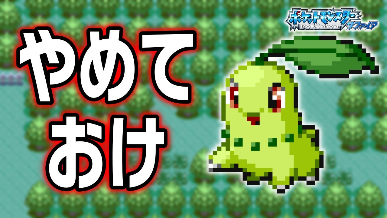 チコリータLv.5で冒険始めたらルビサファはキツい？ヌルい？