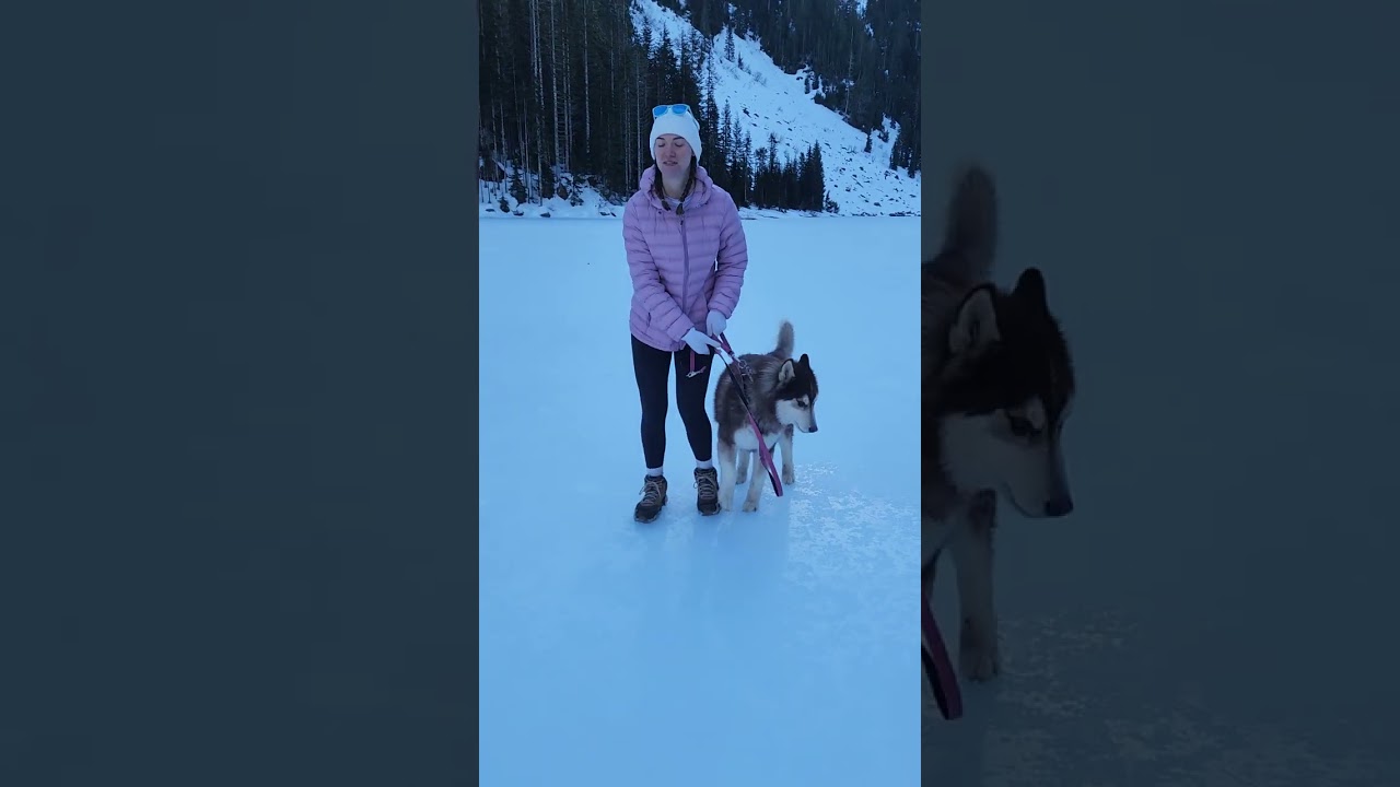 Walking on Frozen Lake Twenty Two with Friends...and Huskies #frozenlake #hikeswithdogs #winter