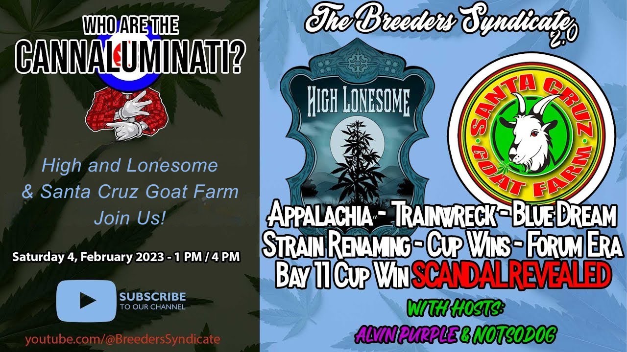 High & Lonesome & Santa Cruz Goat Farm Cannaluminati - Appalachia Bay 11 SCANDAL S08 E01