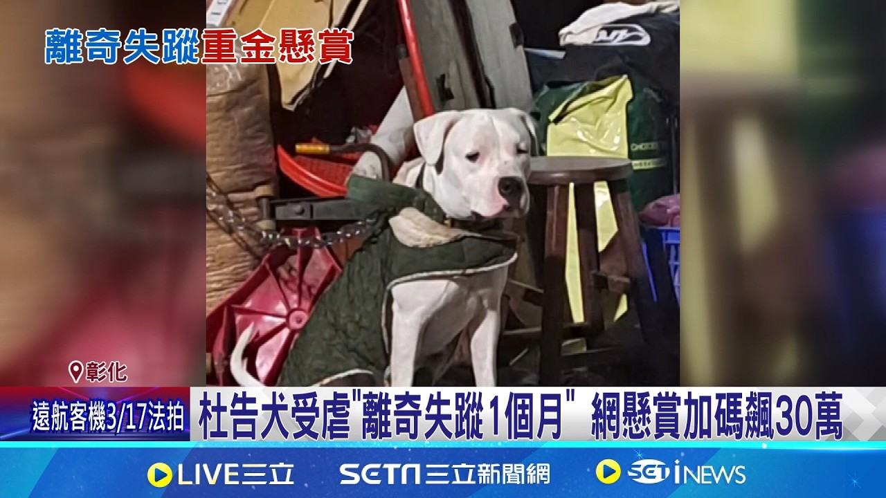 杜告犬受虐