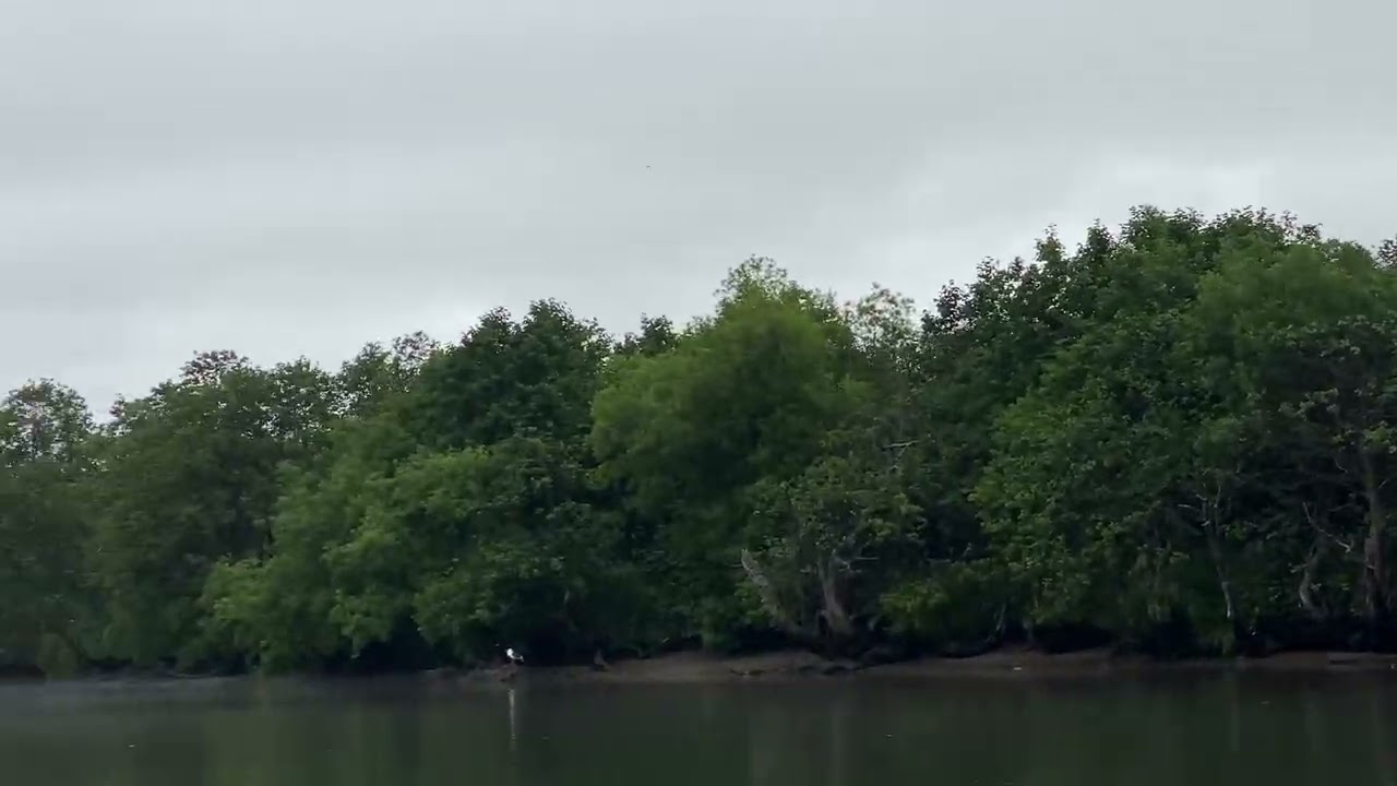 22 февраля 2026 г.