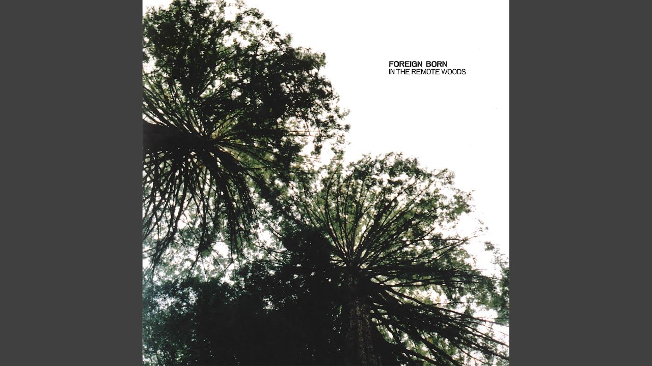 Remote Woods