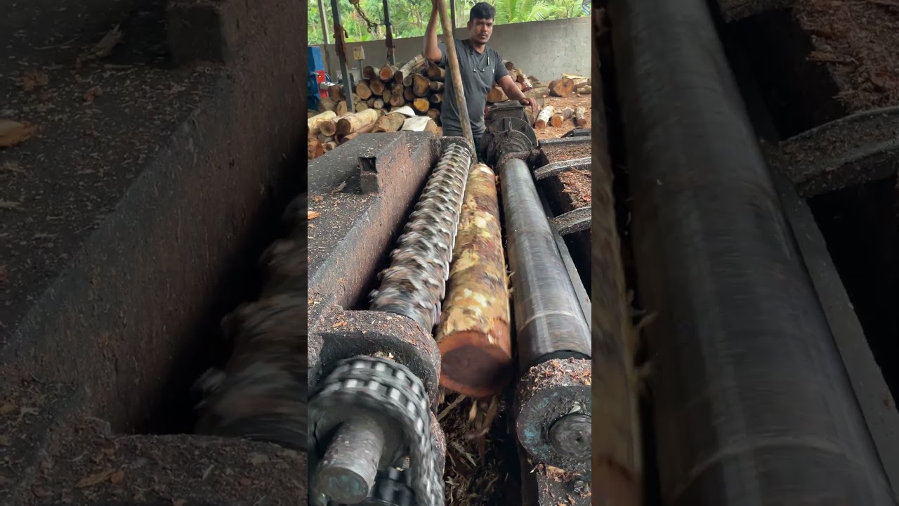 Sawmill dry wooden peeling 🌲|