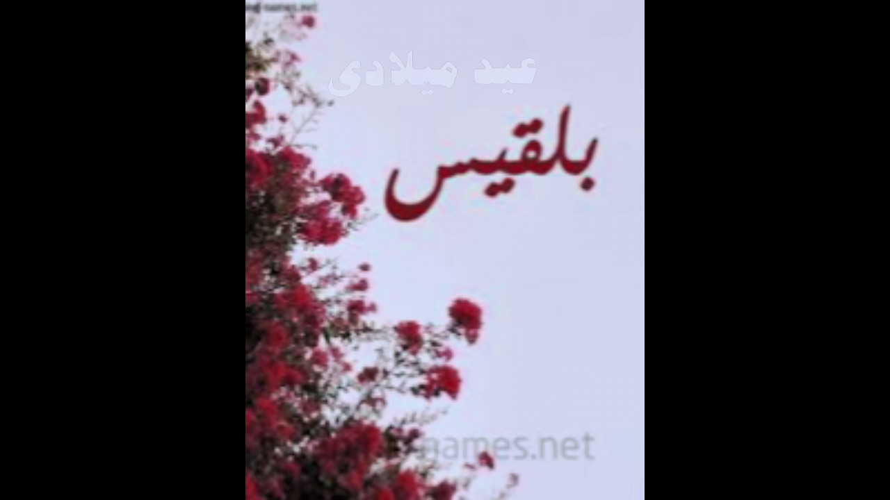 عيد ميلاد ...بلقيس#بلقيس #العراق_السعودية_قطر_الامارات_الكويت_البحرين #المغرب #الجزائر #new #ترند