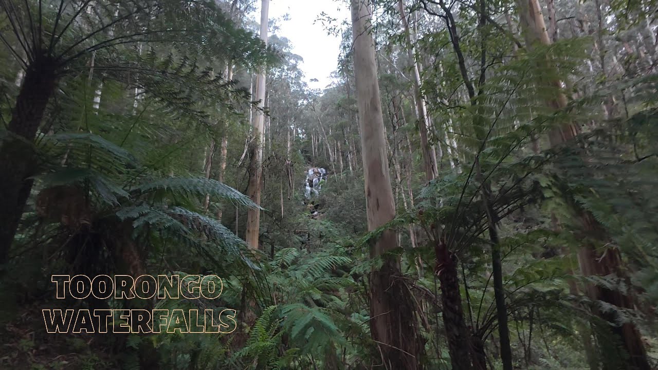 Toorongo Falls || Part 1 || Camping || Noojee || overnight camping || Melbourne ||