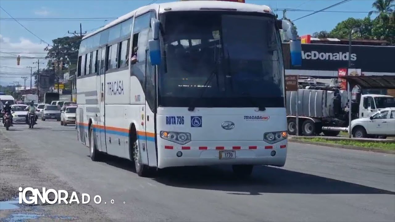 movimiento de buses por limón