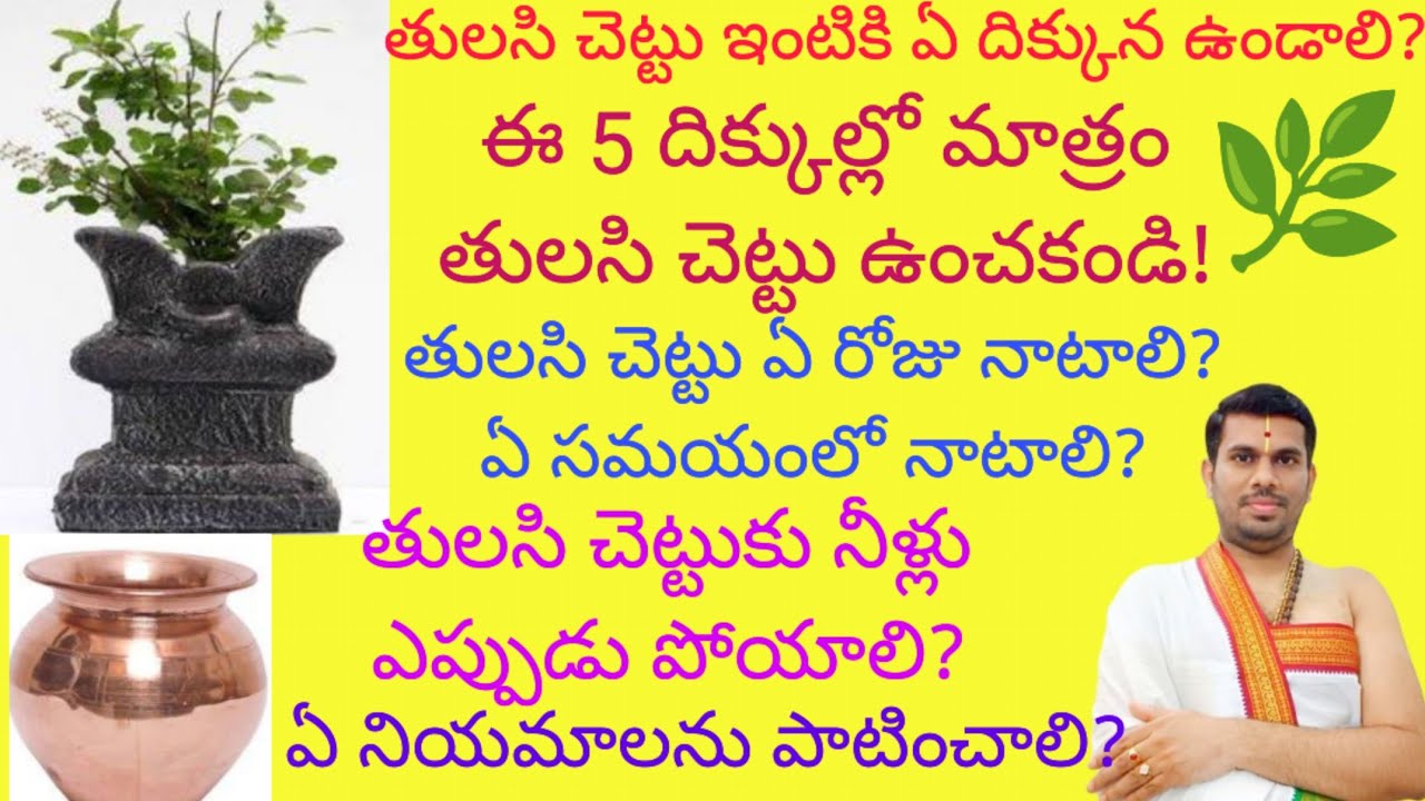 తులసి చెట్టు మీ ఇంటి దగ్గర ఉందా?ఈ 5 దిక్కుల్లో మాత్రం తులసిని ఉంచకండి! ఈ నియమాలు పాటించండి!