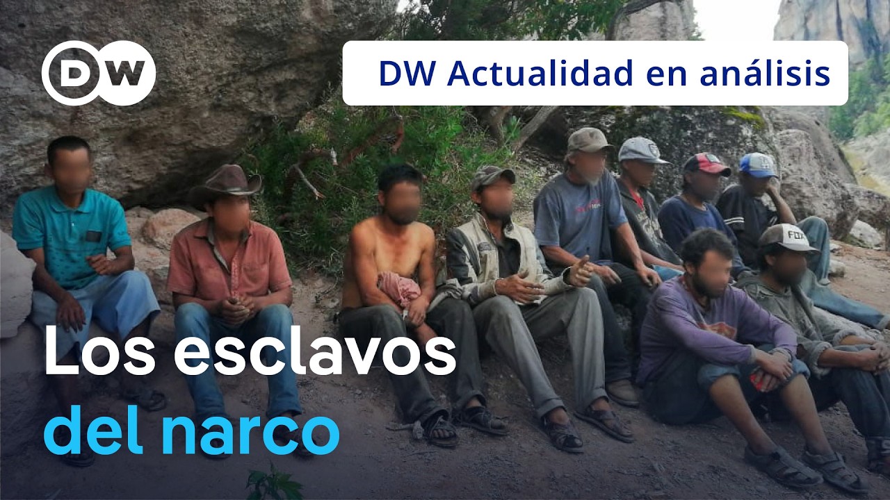 🟣C&oacute;mo hombres desaparecidos en M&eacute;xico terminan esclavizados por el narcotr&aacute;fico