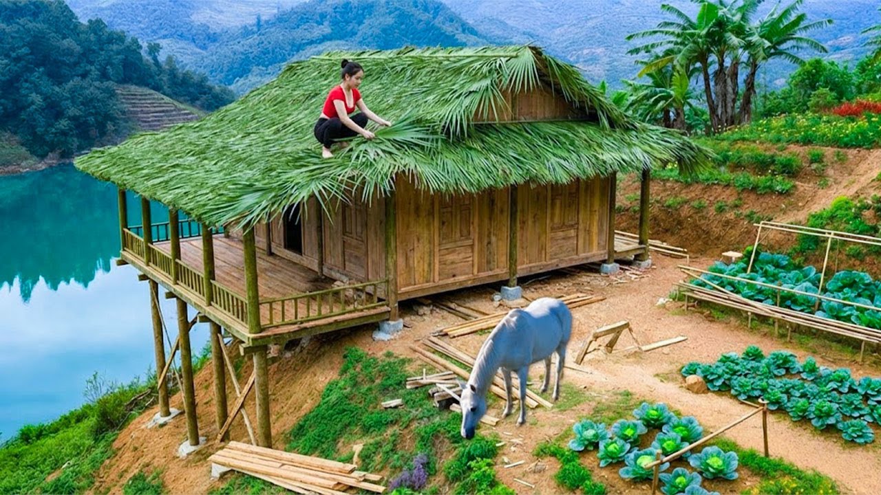 TIMELAPSE: Talented Young Woman Building a Sustainable Farm Deep in the Mountains