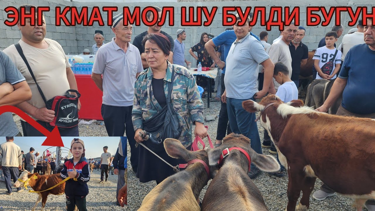 Андижон шахрихон жуча мол бозори янги нархлари блан таншин бугун дуслар