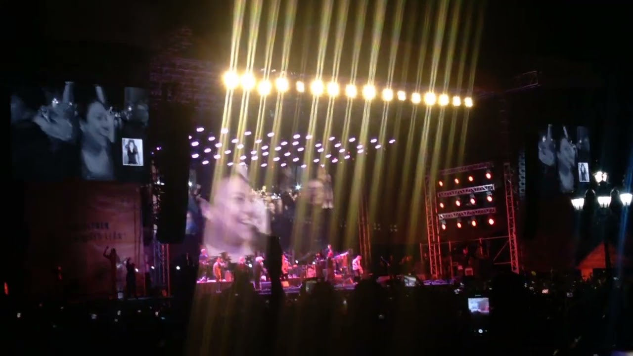 Los Fabulosos cadillacs | Macrofest 2024 #losfabulososcadillacs #macrofest @lfcOficial