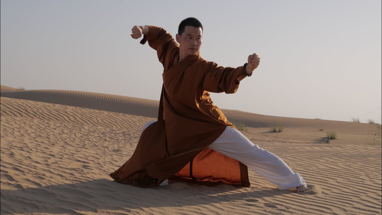 Shaolin Kung Fu - Tong Bi Quan