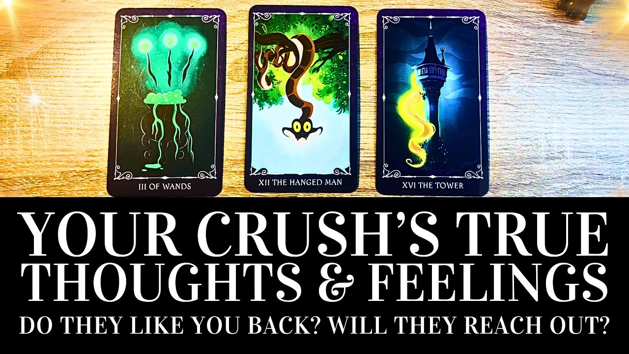 PICK A CARD 🥰😍 Your Crush's TRUE Feelings & Thoughts About You 😍🥰 Timeless Love Tarot Reading
